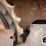 thumb-47