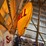 shell-lighted-acrylic-sign---60"-x-64"-image-3
