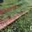 new-holland-stackliner-image-7
