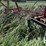 morris-31ft-chisel-plow-12-image-5