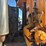 2006-international-workstar-7600-image-20