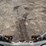 2017-bobcat-t770-image-19