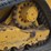 2019-caterpillar-289d-image-23