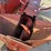 case-ih-1350-image-2