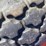 case-ih-1350-image-6
