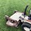 grasshopper-616-image-11