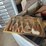 #430-•-galvanized-job-box-with-contents-image-5