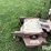 grasshopper-616-image-19