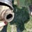 brent-420-image-9
