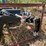 #405-•-2022-titan-grapple-attachment-for-loader-bucket-image-5