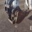 2003-bobcat-b100-image-26