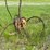 #11-•-grove-rt740-30-ton-crane-image-9