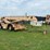 #11-•-grove-rt740-30-ton-crane-image-4