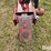 case-ih-496-image-10