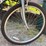 #8594-•-raleigh-bike-image-3