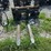 hydrualic-skid-steer-fork-attachment-image-1