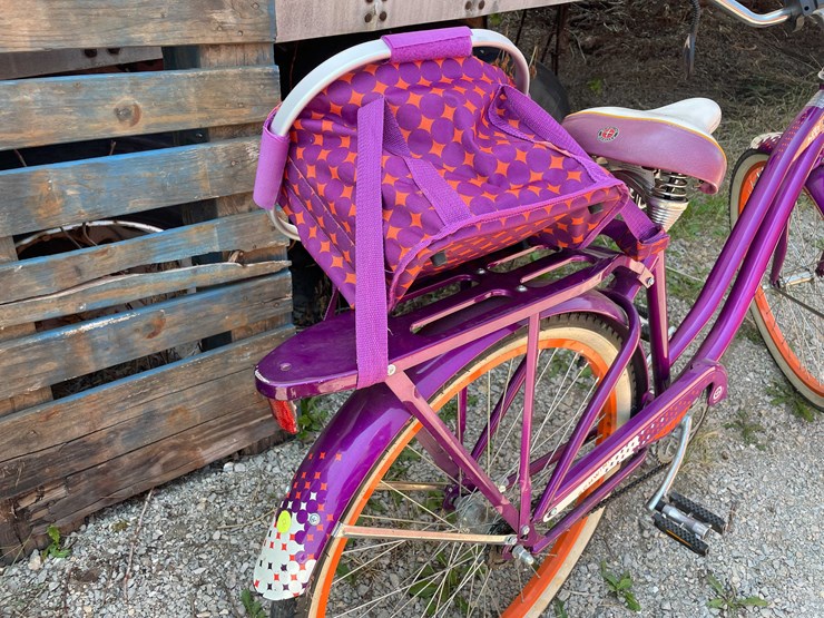 #8595-•-schwinn-bike-image-5