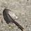 #8590-•-(4)-gardening-tools-image-5