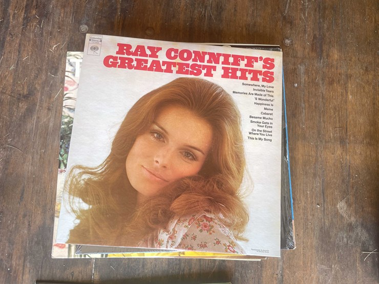 #10782-•-vinyl's-image-3