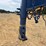 2017-cen-tex-gooseneck-trailer-image-6