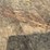 #8599-•-wood-barrel-image-6
