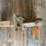 #10791-•-pintle-hitch-image-2