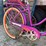 #8595-•-schwinn-bike-image-2