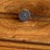 (2)-john-deere-st.-louis-+-minneapolis-pins-image-4