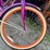 #8595-•-schwinn-bike-image-3