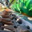 2011-john-deere-635f-image-20