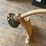#10788-•-stihl-weed-wacker-image-2