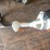 #10788-•-stihl-weed-wacker-image-5