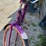 #8595-•-schwinn-bike-image-7