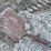 #8588-•-(5)-gardening-tools-image-6
