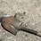 #8589-•-(4)-gardening-tools-image-4