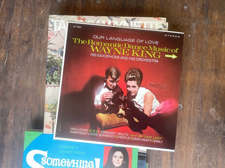 #10782-•-vinyl's-image-5