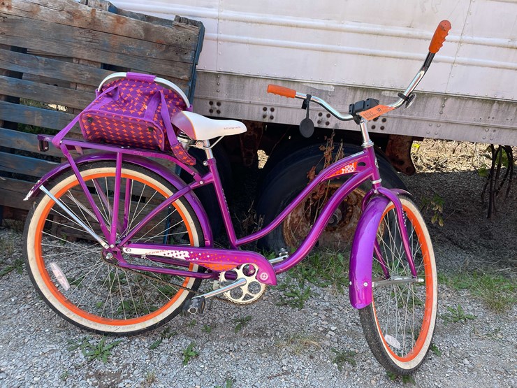 #8595-•-schwinn-bike-image-1