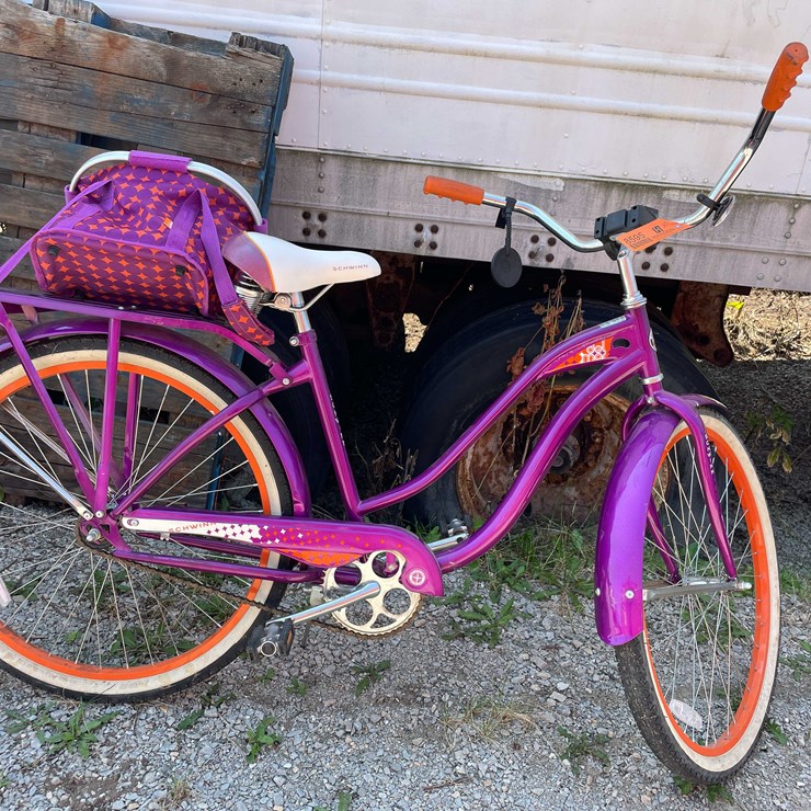 #8595 • Schwinn Bike