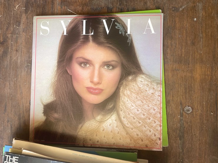 #10782-•-vinyl's-image-11