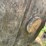 #8597-•-wood-barrel-image-5