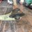 #10788-•-stihl-weed-wacker-image-3