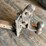 #10791-•-pintle-hitch-image-7