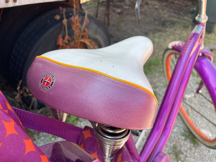 #8595-•-schwinn-bike-image-4