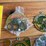 (6)-john-deere-sun-catchers-image-3
