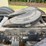 2004-peterbilt-379-image-28