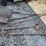 #8588-•-(5)-gardening-tools-image-2