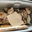 #10802-•-georgian-eggshell-homer-laughlin-dishes-image-3
