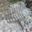 #8588-•-(5)-gardening-tools-image-7