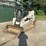 2019-bobcat-t770-image-8