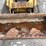 2020-caterpillar-289d3-image-11